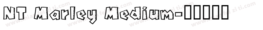 NT Marley Medium字体转换